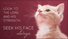 Seek His Face Always