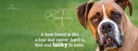 Best Friend - Facebook Cover