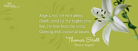 Easter Angels - Facebook Cover