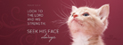 FREE Christian Facebook Cover