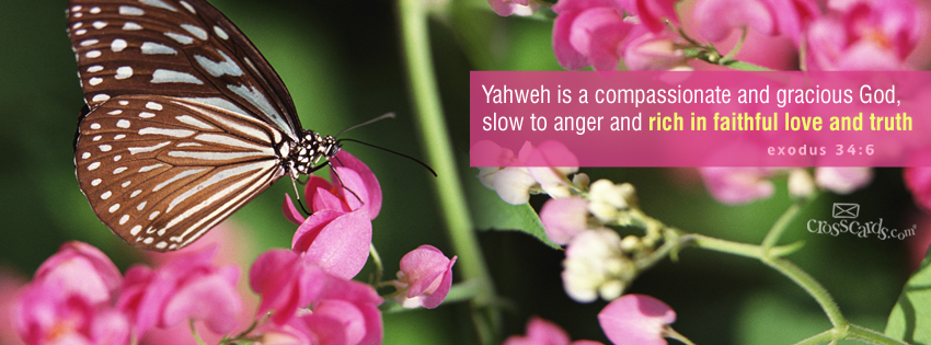 Beautiful Bible Quotes Fb Covers. QuotesGram