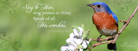 FREE Christian Facebook Cover