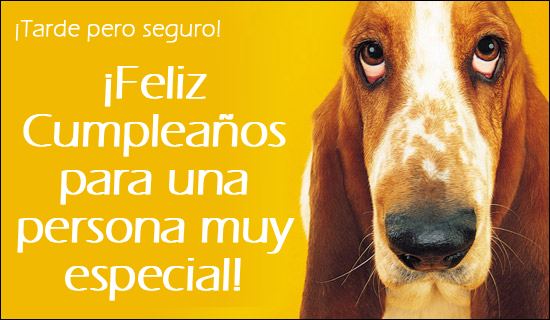 Imagenes De Feliz Cumpleaños Tarde Pero Seguro | 161 tarde pero seguro tarjetas Imagenes De Feliz Cumpleaños Tarde Pero Seguro | 161 tarde pero seguro tarjetas