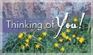 Thinking Of You