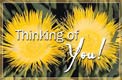 Thinking Of You - Ecard