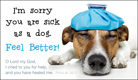 Feel Better