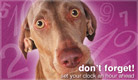 Don't Forget - Clocks Ahead - Ecard