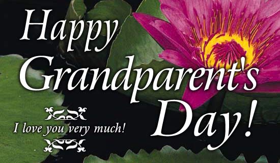 Happy Grandparent's Day eCard - Send Free Personalized Grandparent's Day 