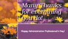 Many Thanks