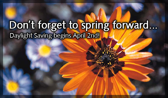 Daylight Savings