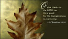 Thanksgiving - Leaves