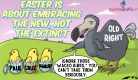 Wacko Birds