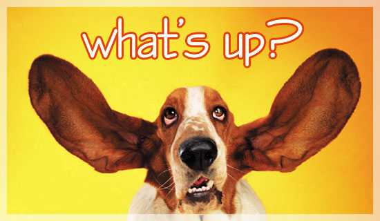 Free What's Up? eCard - eMail Free Personalized Church Family Cards Online Free What's Up? eCard - eMail Free Personalized Church Family Cards Online