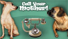 Call Your Mother