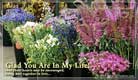 Glad You Are . . .