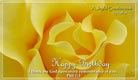 Happy Birthday