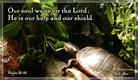 Psalms 33:20