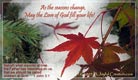 Seasons Change