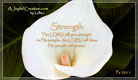 Strength
