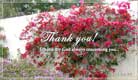 Thank You!