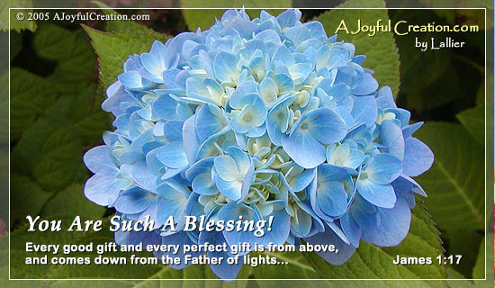 You Are A Blessing eCard - Free A Joyful Creation Greeting Cards Online