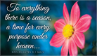 Ecclesiastes 3:1 - Ecard