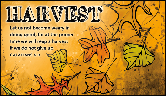 Free Harvest ECard EMail Free Personalized Scripture Cards Online free-harvest-ecard-email-free-personalized-scripture-cards-online