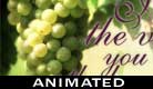 I am The Vine