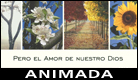 Feliz Año Nuevo