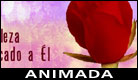 Feliz Cumpleaños - Ecard