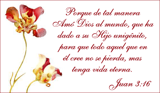 Versos De La Biblia, Juan 3:16 - Free Christian Ecards, Greeting Cards