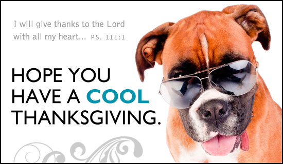 free cool thanksgiving ecard email free personalized free cool thanksgiving ecard email free personalized
