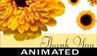 Flowers Of Thanks