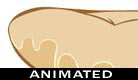 ECard Animation