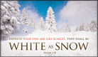 White As Snow