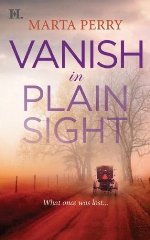 Vanish in Plain Sight (Amish Suspense #2)