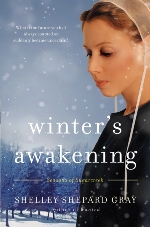 Winter's Awakening (Seasons of Sugarcreek #1)