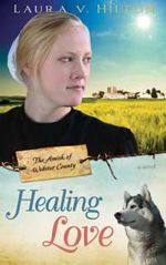 Healing Love (The Amish of Webster County)