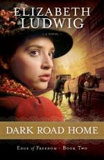 Dark Road Home (Edge of Freedom #2)