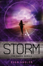 Storm (Swipe Series #3)