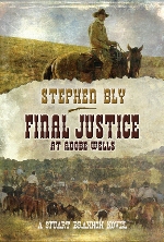 Final Justice at Adobe Wells (Stuart Brannon #4)