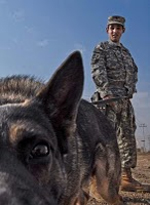 Ronie Kendig: A DOG’S DAY