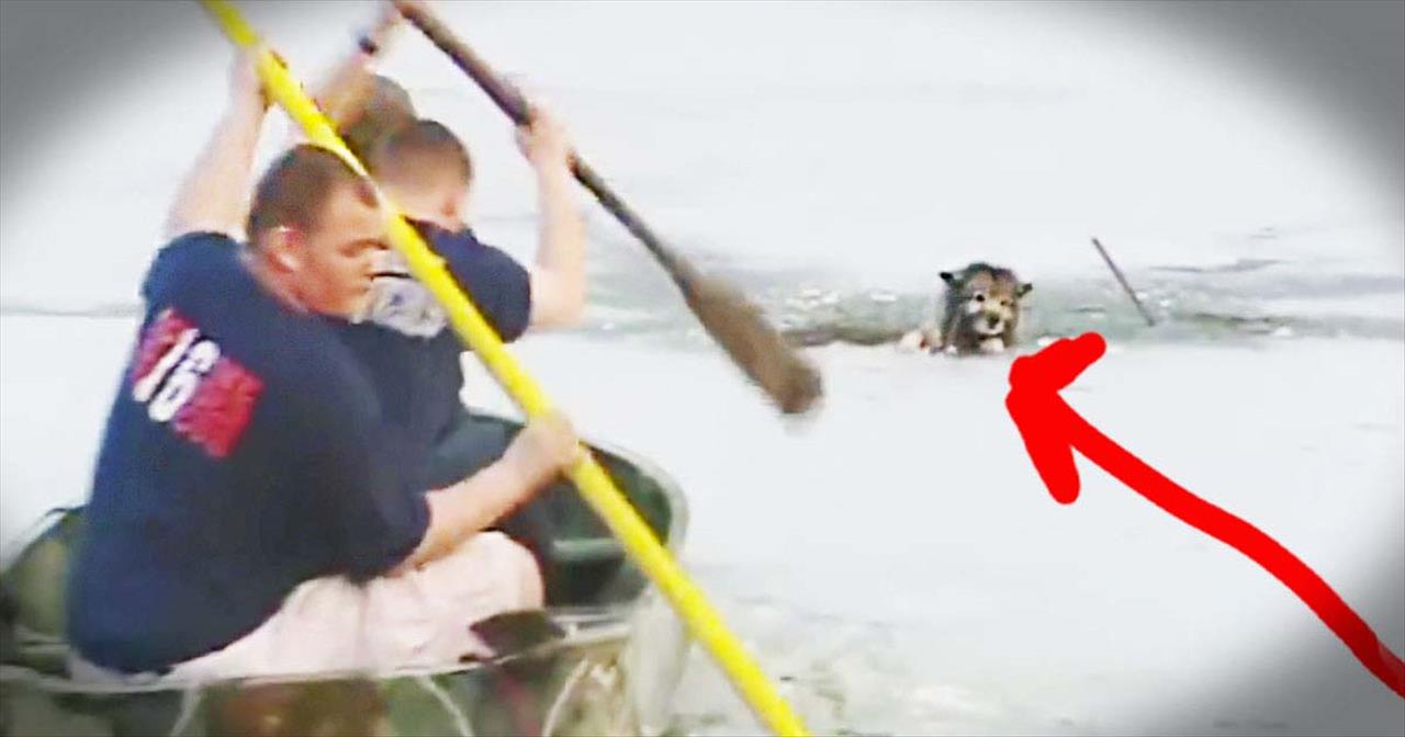 Twelve YearOld with Atheist Mom Paints Shocking Pictures of Heaven and Jesus and Wins Her to