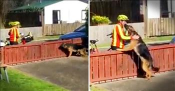 Mailman's Daily Dog Break Will Make You Smile