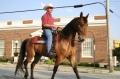1cowboy4u