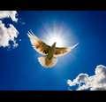 3sojourners