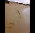 abernthy
