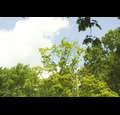 church-ny-white-plains-chatterton-hill-church-ucc