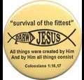 creationism