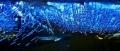 digitalblue07
